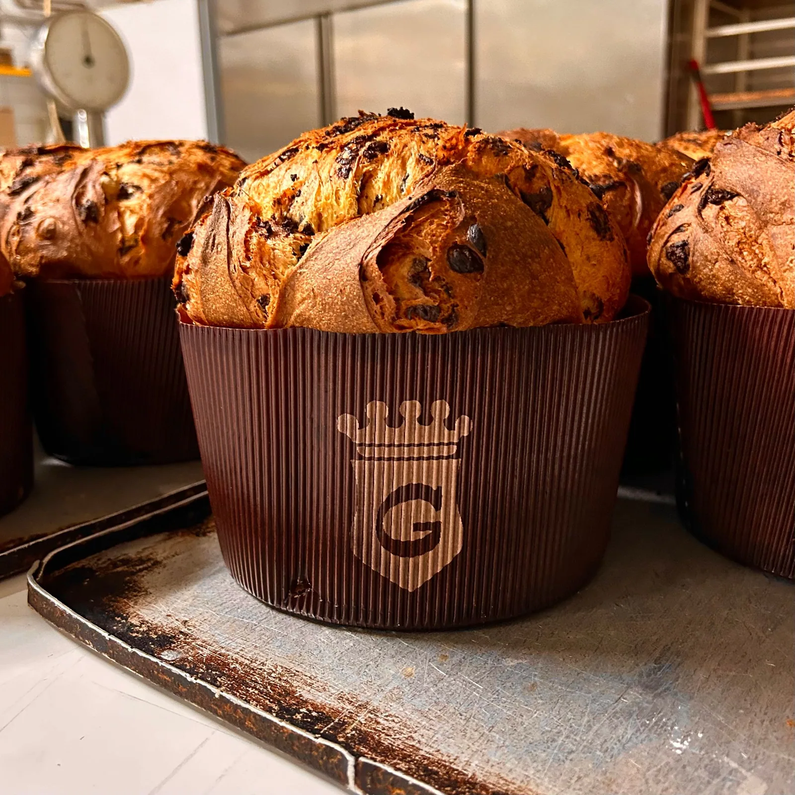 Panettone al cioccolato