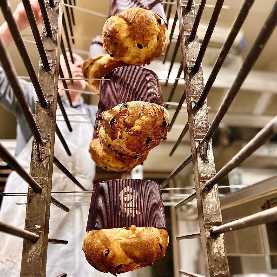 Panettone