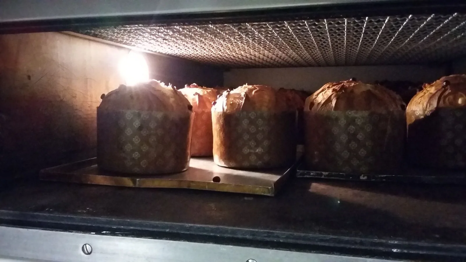Natale sta arrivando e da questo fine settimana i nostri primi Panettoni saranno
